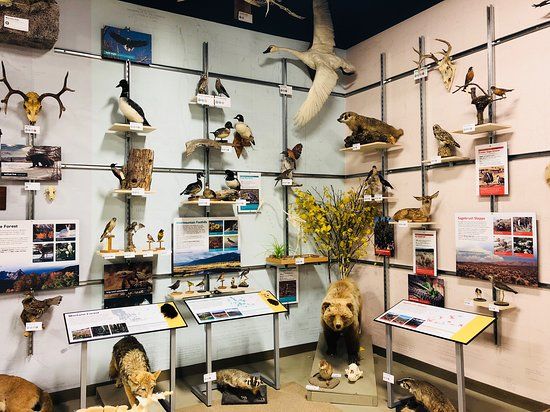 Montana Natural History Center